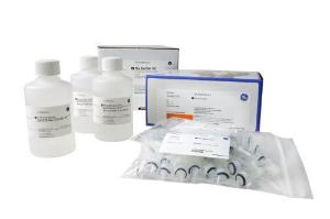 Disposable Columns Prepacked with Sepharose™, His SpinTrap™ Kit, Cytiva