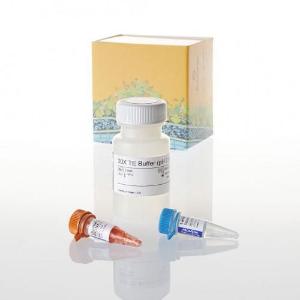 Quantifluor dsDNA sample kit