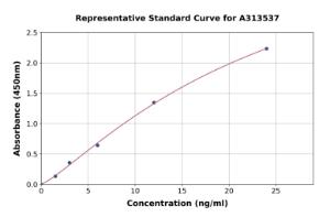 Representative standard curve for human CYP2D6 ELISA kit (A313537)