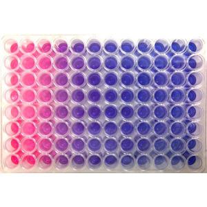 OZBlue Cell Viability kit , OZ Biosciences