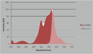 R-Phycoerythrin, OZ Biosciences