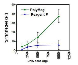 PolyMag™ Transfection Reagent, OZ Biosciences
