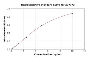 Representative standard curve for Mouse Complement C3a ELISA kit (A77773)