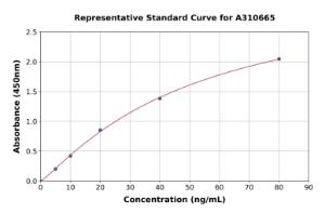 Representative standard curve for Human PAFAH2 ELISA kit (A310665)