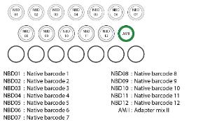 Native Barcoding expansion 1-12 kit contents