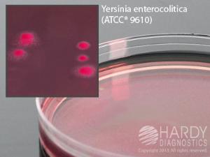 CIN Agar for Yersinia, Hardy Diagnostics