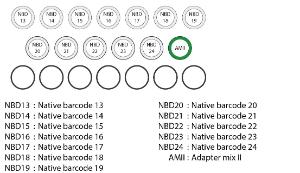 Native Barcoding expansion 13-24 kit contents