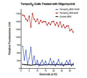 TempoO2 biosensor transiently expressed in TempoRapid neuroepithelial cells