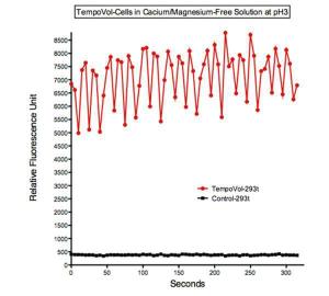 TempoVol biosensor transiently expressed in TempoRapid neuroepithelial cells