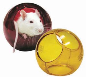 Crawl Balls™ Rodent Enrichment Devices, Certified, Bio-Serv
