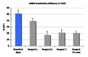 RmesFect™ Stem Transfection Reagent, OZ Biosciences