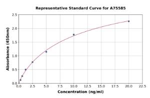 Representative standard curve for Human LOXL4 ELISA kit (A75585)