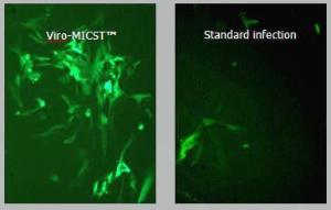 Viro-MICST™ Transduction Reagent, OZ Biosciences