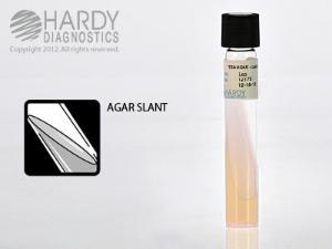 Tryptic Soy Agar (TSA), Soybean Casein Digest Agar, Hardy Diagnostics