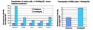 ViroMag™ R/L Transduction Reagent, OZ Biosciences