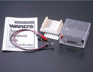 Ward's® Introductory Electrophoresis Hardware Systems
