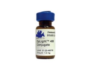 DyLight® 488 Conjugated Antibody