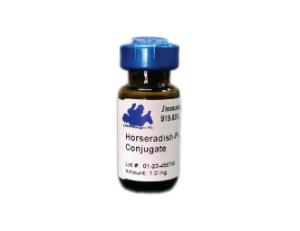 Horseradish Peroxidase Conjugated Antibody
