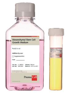 Mesenchymal Stem Cell Medium, PromoCell