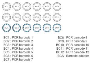 PCR Barcoding expansion 1-12 kit contents