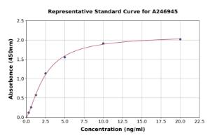 Representative standard curve for Human HLA-DQB2 ELISA kit (A246945)