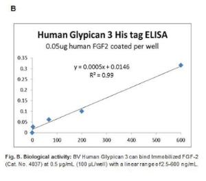 H.Cellexptm Glypican 3/Gpc3 Hr