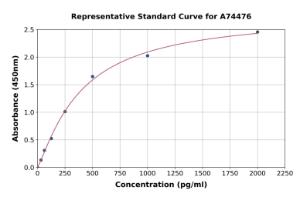 Representative standard curve for Rabbit MCP1 ELISA kit (A74476)