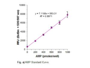 cAMP phosphodiesterase activity assay kit, fluorometric
