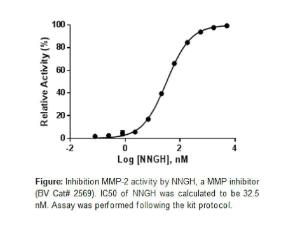 MMP-2 inhibitor screening kit, fluorometric