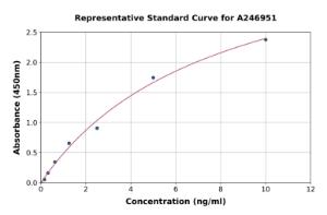 Representative standard curve for Human LAMP1 ELISA kit (A246951)