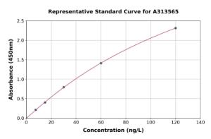 Representative standard curve for human IL-2 ELISA kit (A313565)