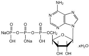 Adenosine-5'-triphosphate disodium salt (ATP disodium salt) hydrate, (max. 10% H₂O) 99%