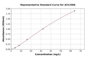 Representative standard curve for mouse TGF beta 2 ELISA kit (A313566)