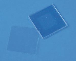 Cellattice™ Micro-Ruled Plastic Cell Culture Surfaces, Electron Microscopy Sciences