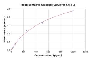 Representative standard curve for Mouse MIP-3 beta ml CCL19 ELISA kit (A75615)