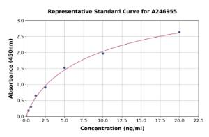 Representative standard curve for Human MAGE3 ELISA kit (A246955)