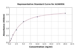 Representative standard curve for Human MAT2B/TGR ELISA kit (A246956)