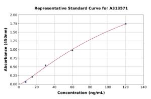 Representative standard curve for human MMP21 ELISA kit (A313571)