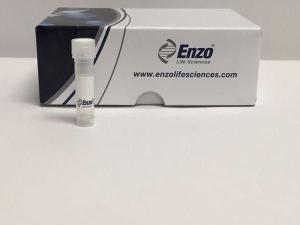 Nupherin™ Transfection Reagent, Enzo Life Sciences