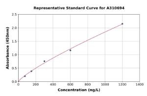 Representative standard curve for Human MEF2A ELISA kit (A310694)