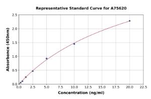 Representative standard curve for Human MMP12 ELISA kit (A75620)
