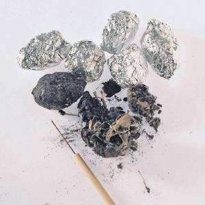 Ward's® Introduction to Owl Pellets Lab Activity
