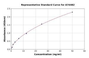 Representative standard curve for Porcine MMP1 ELISA kit (A74482)