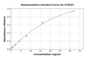 Representative standard curve for Human MMP2 ELISA kit (A75623)