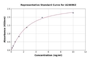 Representative standard curve for Monkey Cross Linked C-telopeptide of Type I Collagen/CTXI ELISA kit (A246962)