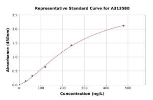 Representative standard curve for human Citrate Synthetase ELISA kit (A313580)