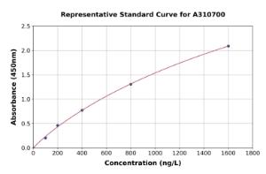 Representative standard curve for Human Cyclin E1 ELISA kit (A310700)