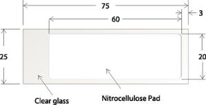 Oncyte® Nitrocellulose Film Slides, Electron Microscopy Sciences