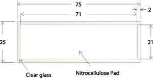 Oncyte® Nitrocellulose Film Slides, Electron Microscopy Sciences