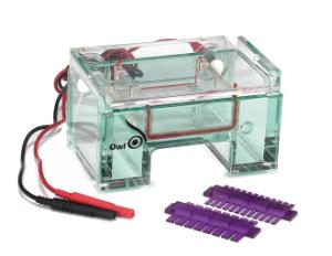 Combs for Owl™ EasyCast™ Mini Gel Electrophoresis System, Models B1,  B2 and B3, Thermo Scientific